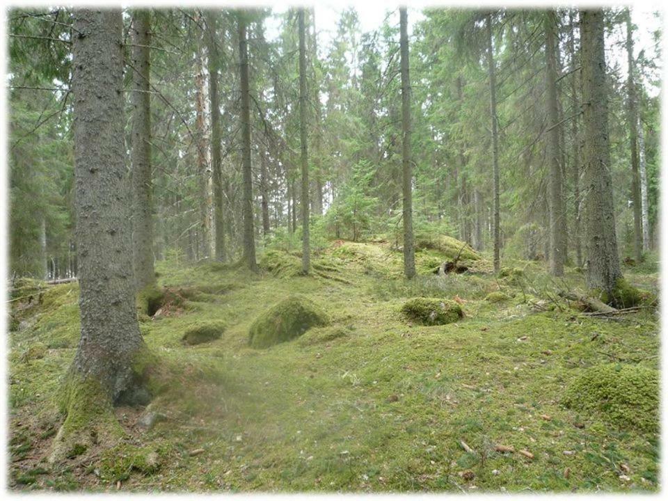 Sandvik Gard Spa & Konferens Åby エクステリア 写真